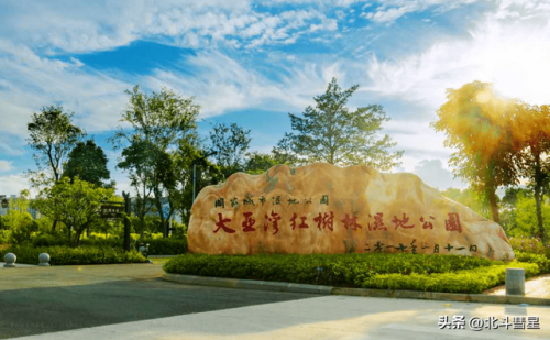 惠州好玩街区排名前十(惠州33号青年街区)插图46