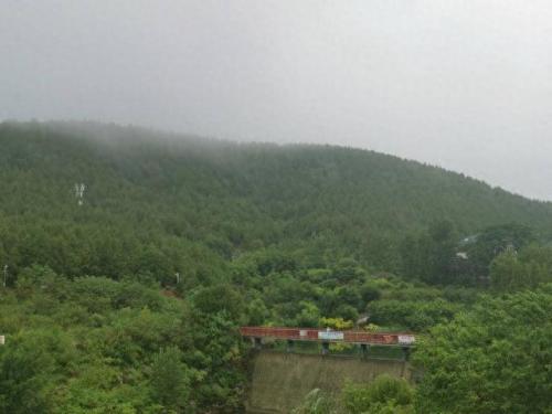 雨后的故事图片(雨中的小故事是什么梗)插图1