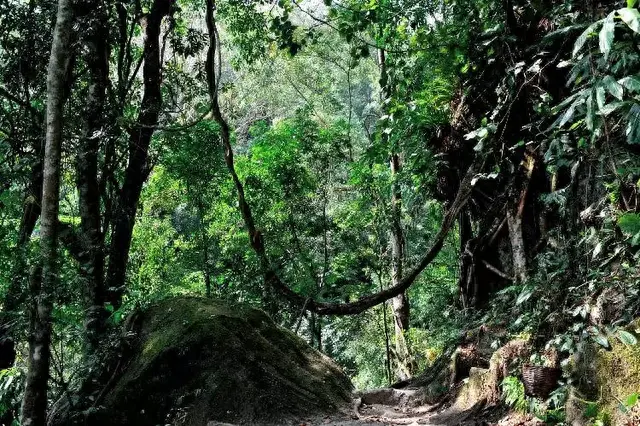 云南温泉排名前十(云南温泉最多的地方排名)插图2