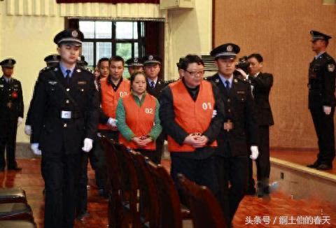 陪文强睡过的女明星(5年出轨高达500次女主角)插图1