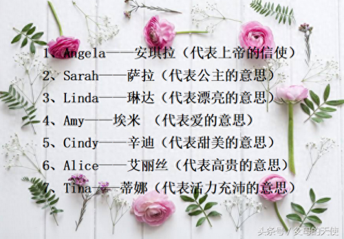 静怡的意思(静宜和静怡的意思)插图2