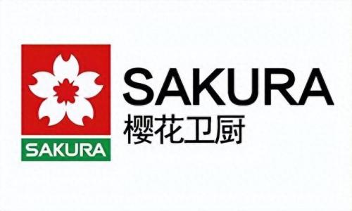 翔安橱柜排名前十(丽博橱柜全国排名)插图9