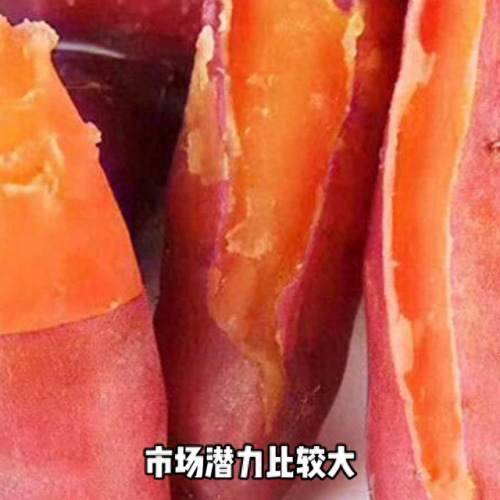 最甜红薯排名前十(十大品牌红薯粉条排名)插图