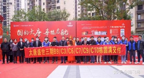 广西地产排名前十(广西十大地产排名)插图18