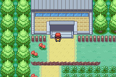 pokemmo关都攻略(pokemmo)插图7