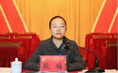 孔垂柱(孔垂柱传染病)