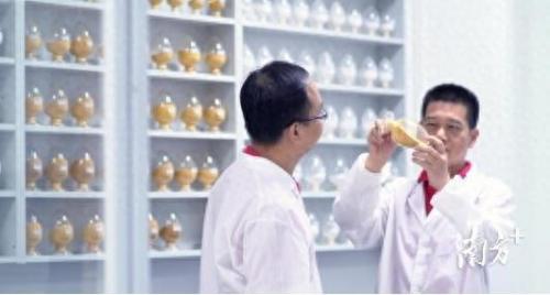 广东省粮食企业排名前十(全国粮食龙头企业)插图2