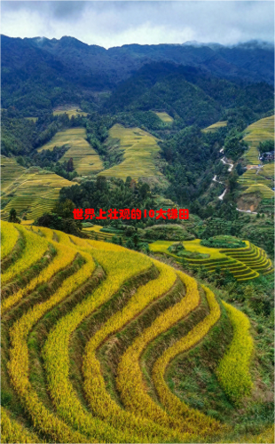 世界十大梯田排名前十(中国十大梯田排行)插图