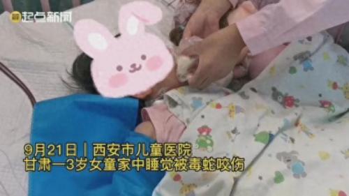 毒蛇咬女儿治病(河北毒蛇分布地图)插图1