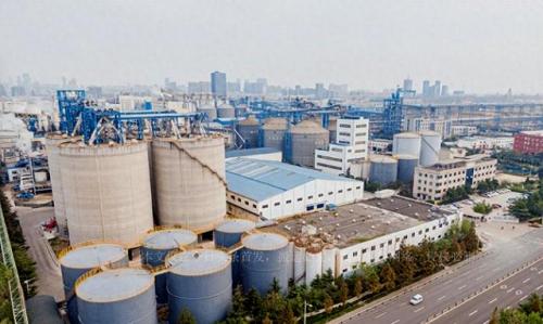国外吃粮平台排名前十(国外鸭粮品牌)插图3