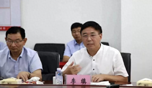 桐城排名前十企业(桐城在安徽排名怎么样)插图3