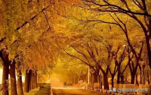 泰州古迹景点排名前十(泰州人文景点排名前十)插图21