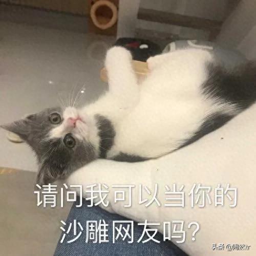 我靠重庆(我靠重庆广告词)插图2
