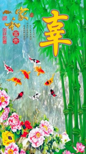 百家姓qq头像(百家姓头像大全真实图)插图90