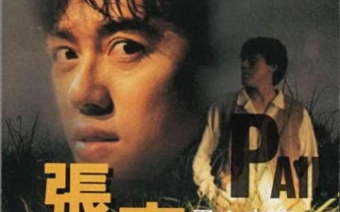 张宇有哪些好听的歌(一言难尽张宇)