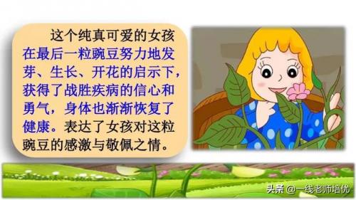 豌怎么组词-(豌可以怎么组词语)插图36