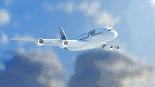 德州空乘艺考班排名前十(张店空乘艺考班排名前十)插图16
