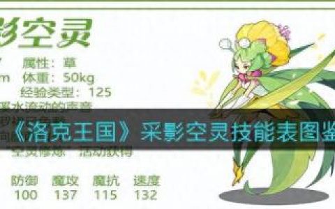 洛克王国空灵斗士(空灵斗士下架了吗)
