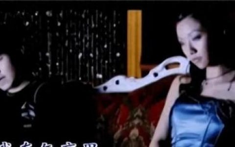 离婚前规则的歌曲(离婚前听的歌)