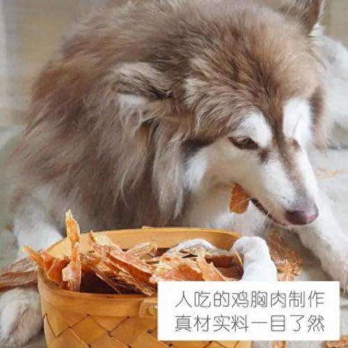 狗狗打架排名前十(狗狗单挑能力排名)插图7
