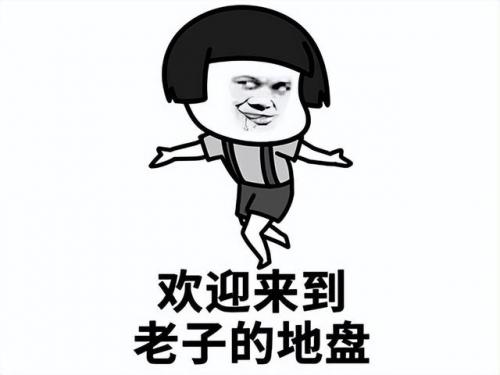 怎么在手机上玩星际争霸2(手机上怎么玩星际争霸)插图16