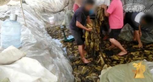 揭阳泡面公司排名前十(揭阳美食推荐)插图11