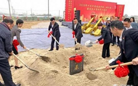 灵溪二中(灵溪二中陈莉莉老师)