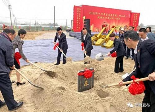 灵溪二中(灵溪二中陈莉莉老师)插图