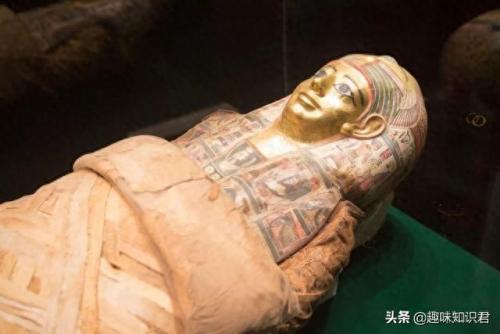 瑞士路易十六喷剂(拉法耶特和路易十六的关系)插图5