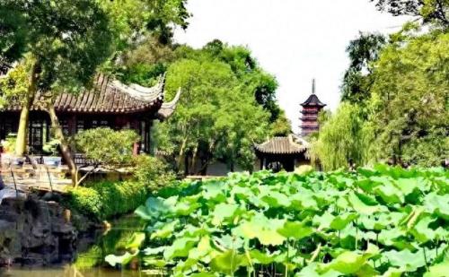 苏州景点排名前十6(苏州最受欢迎景点排名)插图4