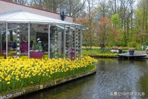荷兰住宅公园排名前十(荷兰小镇空中别墅)插图13