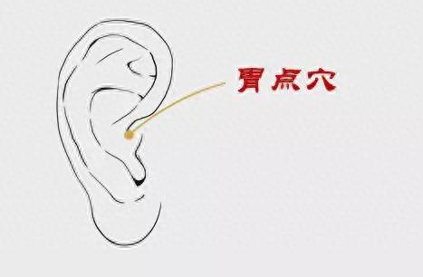 中医减肥排名前十(180斤减到90斤三味中药煮水)插图2