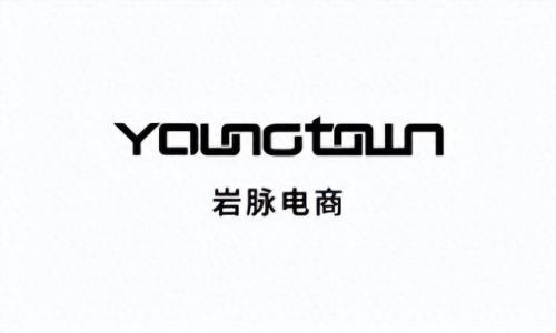 中国电商代理公司排名前十(十大电商公司排名)插图3