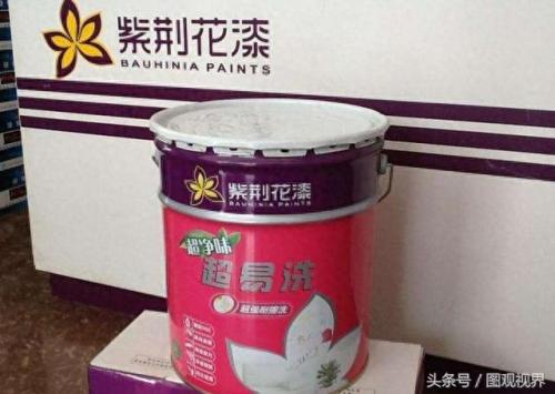 海南油漆排名前十(吉林油漆排名前十)插图7