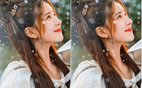 找不同图片(找不同图片大全)