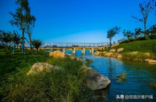 秘密花园冥想(秘密花园有异物入侵)插图2