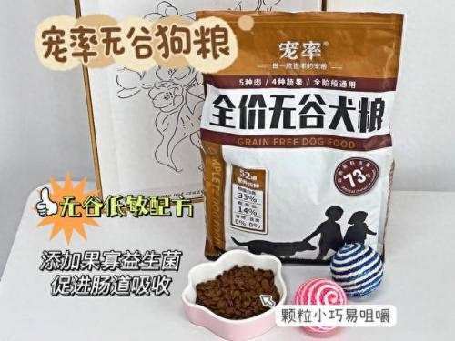 狗狗生病咨询(狗狗生病咨询平台)插图7