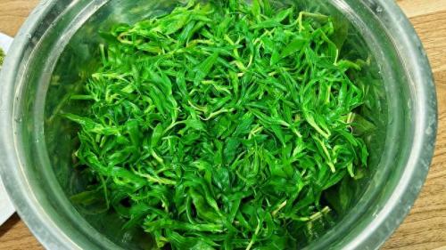 笤帚菜(扫帚菜的功效和作用)插图10