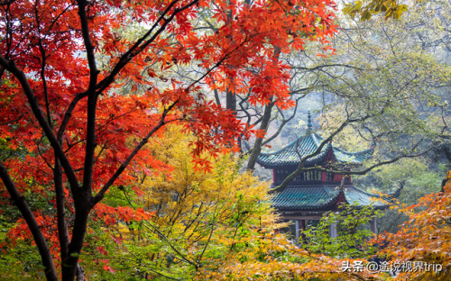 娄底主要景点排名前十(娄底水库排名前十名)插图16