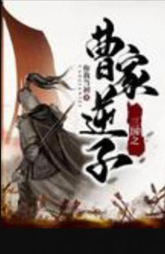 三国之宏图霸业(三国宏图霸业小说)插图8