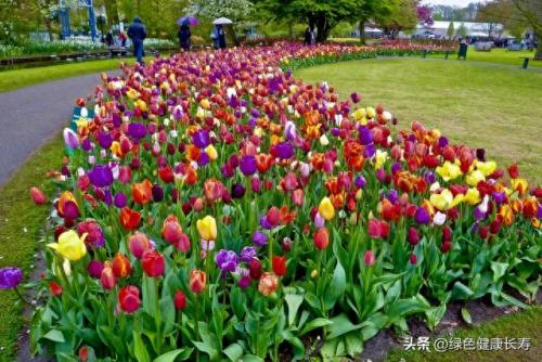 荷兰住宅公园排名前十(荷兰小镇空中别墅)插图68