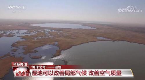湿地又叫什么名字(湿地美称是什么)插图2