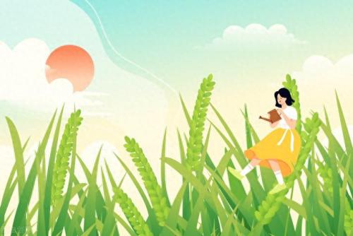 小满中的满是指满月吗(小满中的满是什么意思)插图2