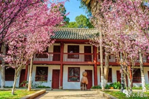 最有味道的大学排名前十(心理学排名前十的大学)插图57