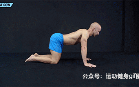 健身大神排名前十(健身大神谁厉害)