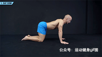 健身大神排名前十(健身大神谁厉害)插图