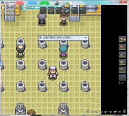 pokemmo关都攻略(pokemmo)插图21