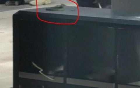 昆明火车站事件(云南火车站事件视频)