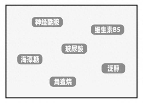 排名前十水乳(央视十大公认最好的水乳)插图8