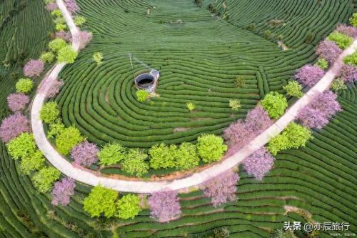 泉州景点瀑布排名前十(泉州岱仙瀑布)插图23